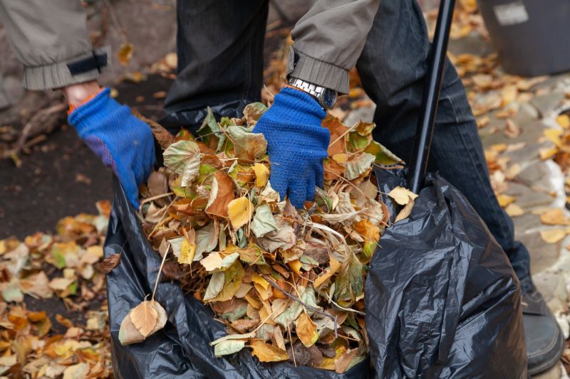 Why Fall And Spring Are The Best Times For Lawn Clean Up
