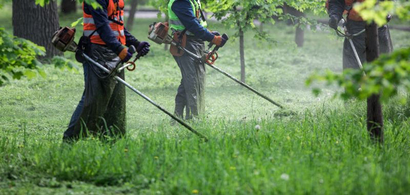 Garden Deweeding Service